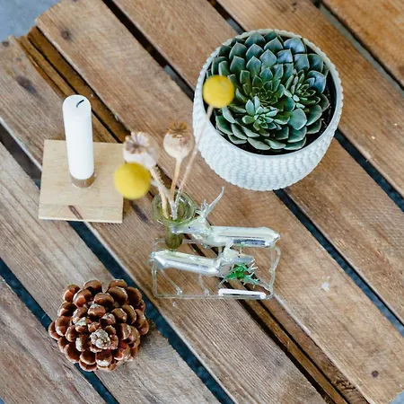 Fresh Air On Open Terrace With View *